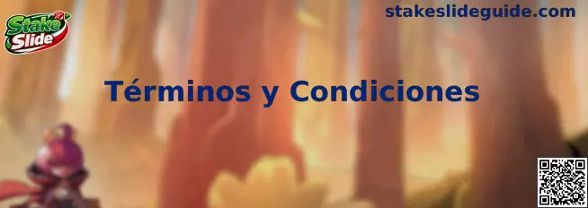 Información sobre los Términos y Condiciones de Stake Slide